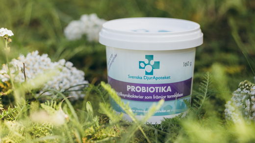 Probiootit - lisäravinteet koiran suolistolle.