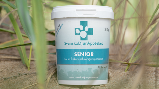 Vanhemmalle koiralle