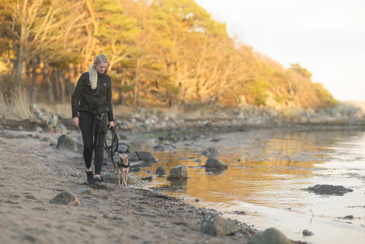 Koira pelkää ilotulitteita.