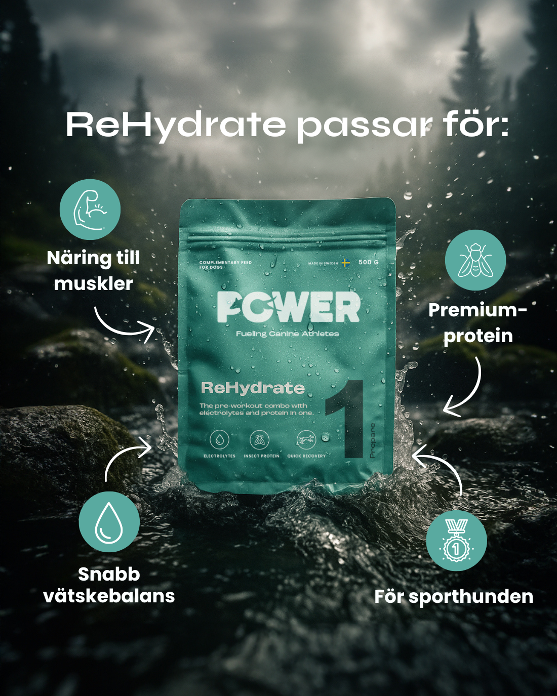 POWER ReHydrate 500g
